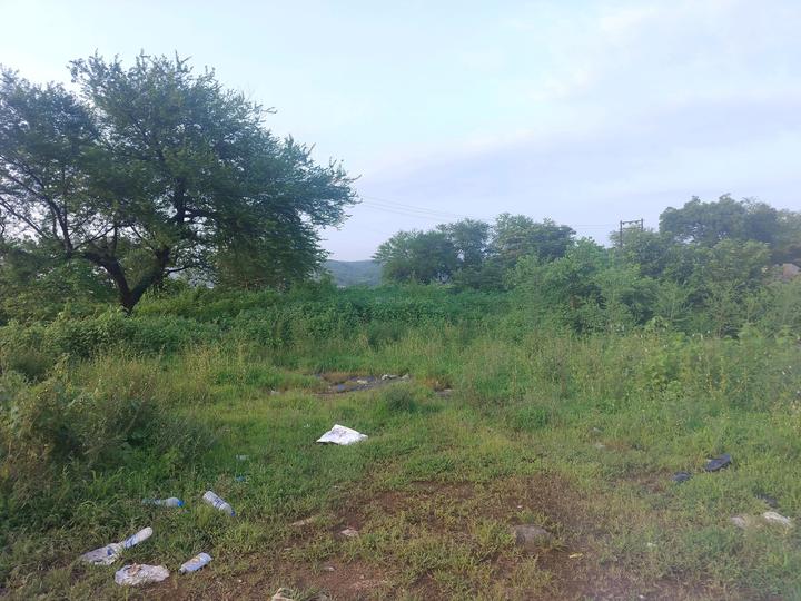 Chirner Main Image 1