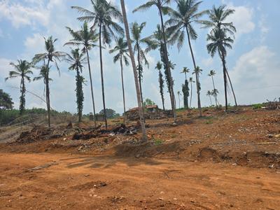 Image of 76176 Sq.ft Residential Plot / Land for sale in Kanjirappally, Kottayam for Rs. 26250000