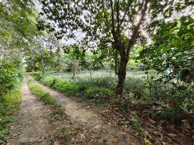 Image of 1214 Sq.ft Residential Plot / Land for sale in Kalamassery, Kochi for Rs. 8000000