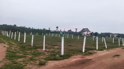 Image of 10236 Sq.ft Residential Plot / Land for sale in Reddiarpatti, Tirunelveli for Rs. 5875000