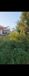 Image of 494 Sq.ft Residential Plot / Land for sale in Sector 8, Gandhinagar for Rs. 55000000