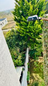 Image of 1443 Sq.ft 3 BHK Villa for sale in Lingapura, Anekal, Bengaluru for Rs. 16000000