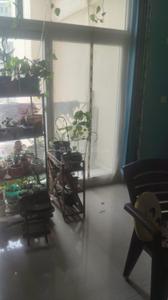 Hall Image of 1130 Sq.ft 2 BHK Apartment / Flat for rent in Amrapali Eden Park, Sector 50 Noida for Rs. 32000
