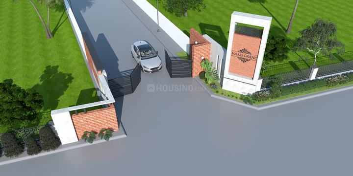 Maass Grand Main Image 1