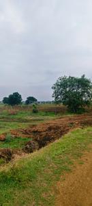 Image of 43560 Sq.ft Residential Plot / Land for sale in Medigadda, Ranga Reddy for Rs. 9000000