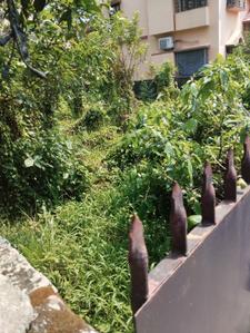 Rajarhat Chowmatha Plot View 3