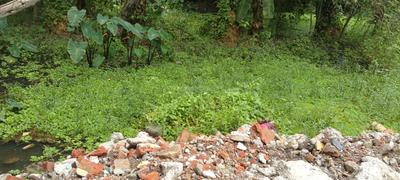 Image of 1832 Sq.ft 12 BHK Farm House for rent in Ivytrade Baruipur Township, Baruipur, Kolkata for Rs. 250000