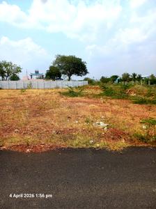 Irungalur Plot View 2