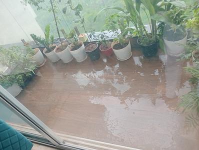 Balcony Image of 1200 Sq.ft 2 BHK Apartment / Flat for sale in RNA NG Grand Plaza, Ghansoli Navi Mumbai for Rs. 25000000