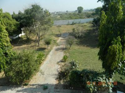 Image of 2500 Sq.ft 5 BHK Farm House for sale in Birla Colony, Bhiwani for Rs. 430000000