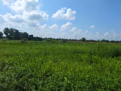 Image of 720 Sq.ft Residential Plot / Land for sale in Wander Valley, Joka, Kolkata for Rs. 251111