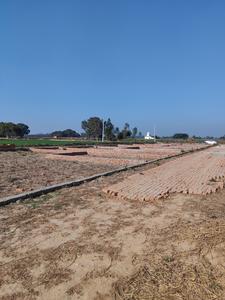 Juggaur Plot View 3