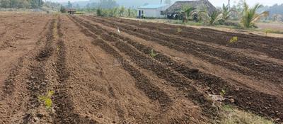 Image of 5796 Sq.ft Residential Plot / Land for sale in Narsipatnam, Visakhapatnam for Rs. 1500000