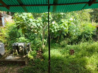 Balcony Image of 1743 Sq.ft 2 BHK Independent House for sale in Anjaru Udupi for Rs. 3500000