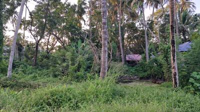 Image of 19600 Sq.ft Residential Plot / Land for sale in Panangad, Kochi for Rs. 38250000