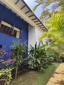 Image of 4736 Sq.ft 4 BHK Independent House for sale in Assagao, Goa for Rs. 125000000