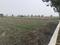 Kakrala Plot View 2