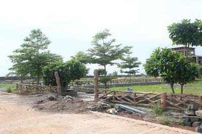 Image of 600 Sq.ft Residential Plot / Land for sale in Naya Raipur, Raipur for Rs. 811100