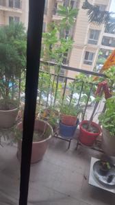 Balcony Image of 850 Sq.ft 2.5 BHK Apartment / Flat for sale in Signature Global The Millennia 3, Sector 37D Gurgaon for Rs. 9000000