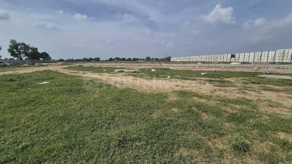 Pataudi Main Image 1