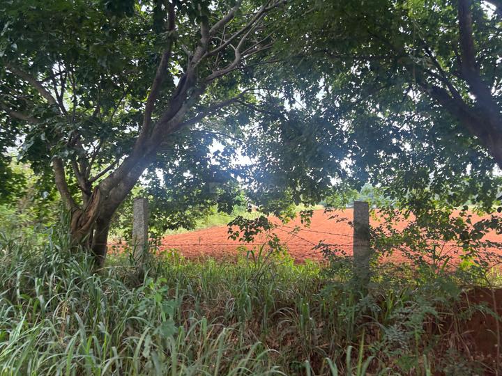 Telecom Green Field Gardens Main Image 1