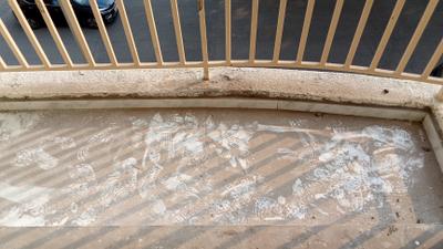 Balcony Image of 730 Sq.ft 1 BHK Apartment / Flat for sale in Creative Marvel, Ulwe Navi Mumbai for Rs. 5800000