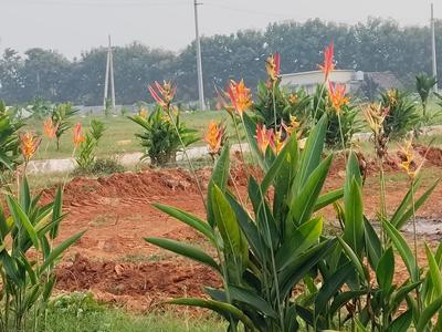 Image of 150 Sq.ft Residential Plot / Land for sale in Atchutapuram, Visakhapatnam for Rs. 1400000