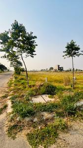 Image of 238 Sq.ft Residential Plot / Land for sale in Altus Muirwoods Ecocity Extension 1, New Chandigarh, Chandigarh for Rs. 20000000