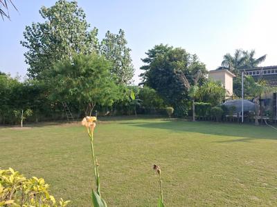 Playing Area Image of 1550 Sq.ft 3 BHK Villa for sale in Dkrrish Green Beauty Farms, Nagli Sabapur Noida for Rs. 13000000