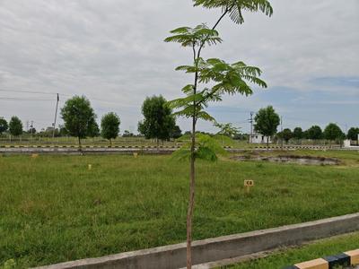 Image of 976 Sq.ft Residential Plot / Land for sale in Urapakkam, Chennai for Rs. 2439027