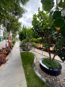Image of 1200 Sq.ft 2 BHK Apartment / Flat for sale in Mana Uber Verdant, Doddakannelli, Bengaluru for Rs. 13500000