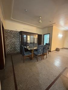 Hall Image of 2500 Sq.ft 3 BHK Independent House for rent in Palam Vihar Gurgaon for Rs. 50000
