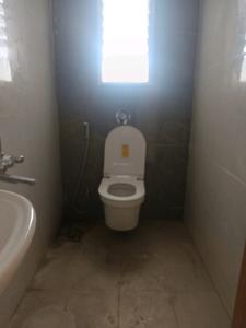 Common Bathroom Image of 1000 Sq.ft 2 BHK Apartment / Flat for rent in Prithvi Proximus, Hadapsar Pune for Rs. 29500