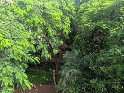 Image of 750 Sq.ft 1 BHK Apartment / Flat for rent in Vashi, Navi Mumbai for Rs. 40000