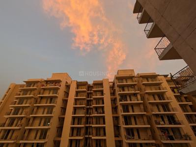 Image of 920 Sq.ft 3 BHK Apartment / Flat for rent in Sector 108, Gurgaon for Rs. 35000