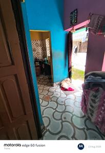 Bedroom Image of 1260 Sq.ft 2 BHK Independent House for sale in Pansila Kolkata for Rs. 3500000
