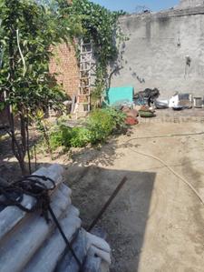 Image of 806 Sq.ft Residential Plot / Land for sale in Charan Bagh, Patiala for Rs. 550000