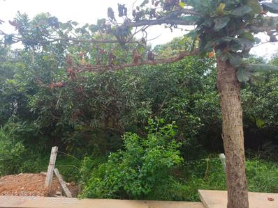 Image of 1855 Sq.ft Residential Plot / Land for sale in Harapanahalli, Bengaluru for Rs. 7791000