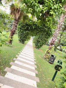 Image of 2460 Sq.ft 3 BHK Apartment / Flat for sale in Central Park Resorts, Sector 48, Gurgaon for Rs. 75000000