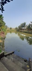Image of 36000 Sq.ft Residential Plot / Land for sale in Falta, Kolkata for Rs. 17000000
