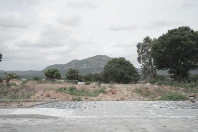 Image of 5000 Sq.ft Residential Plot / Land for sale in Rewild Doddaballapura, Doddaballapura, Bengaluru for Rs. 20000000