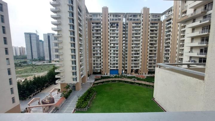 SS The Leaf Main Image 1