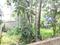 Subhasgram Main Image 1