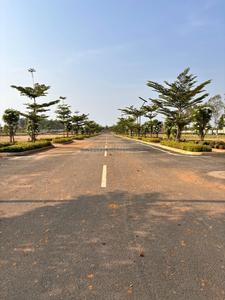 Muddanahalli Plot View 2
