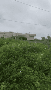 Image of 4356 Sq.ft Residential Plot / Land for sale in Namkum, Ranchi for Rs. 9000000