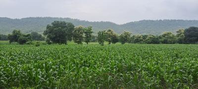 Image of 4000 Sq.ft Residential Plot / Land for sale in Simrol, Indore for Rs. 1200000