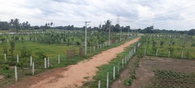 Image of 853 Sq.ft Residential Plot / Land for sale in Chengalpattu, Chennai for Rs. 1236850