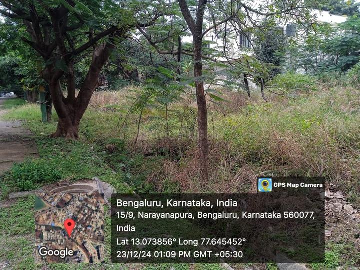 Esther Harmony Main Image 1