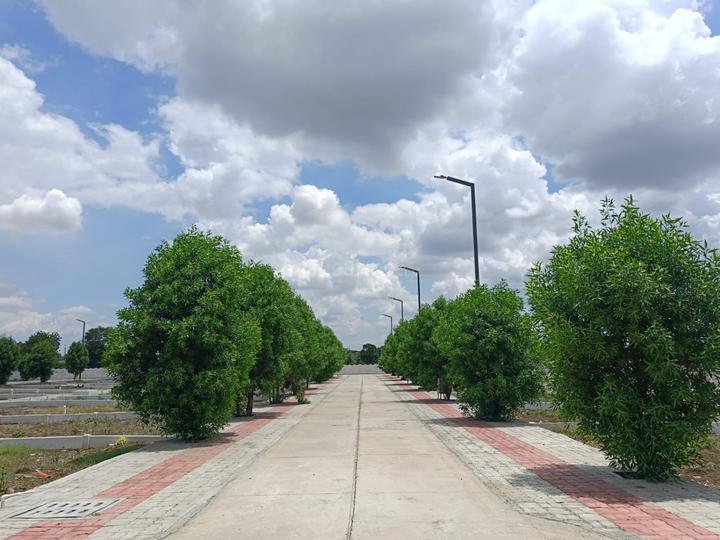 Samruddhi Greens Main Image 1