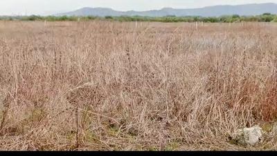 Image of 5000 Sq.ft Residential Plot / Land for sale in Uran, Navi Mumbai for Rs. 1600000